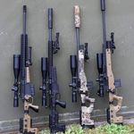 wiesner8