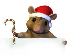 mouse.jpg