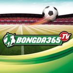 Profile (bongdatructiep365pro)