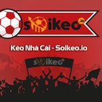 Profile (soitilekeo)