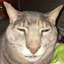 792671906137374760.png