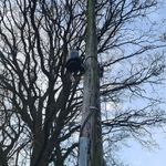 Fibre Pics