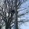 IMG_20210127_220539_330.jpg