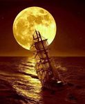 Profile (I__MOON__I)