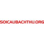 soicaubachthu-org.jpg