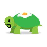 turtle_bob.jpg