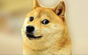 DOGE.jpeg
