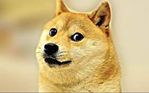 DOGE.jpeg