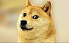 DOGE.jpeg
