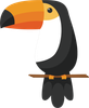 toucanbird.png