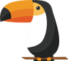 toucanbird2.png