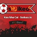 Profile (tilekeobong)