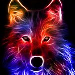 Cool_pet