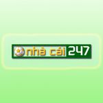 1nha-cai-uy-tin-247-info-min.jpg