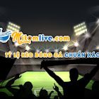 logo-mitomlive-com.jpg