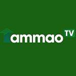 tammaotv.jpg