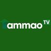 tammaotv.jpg