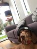 92A7B8B2-D620-4DF9-A108-3F00E31F7AAC.jpeg