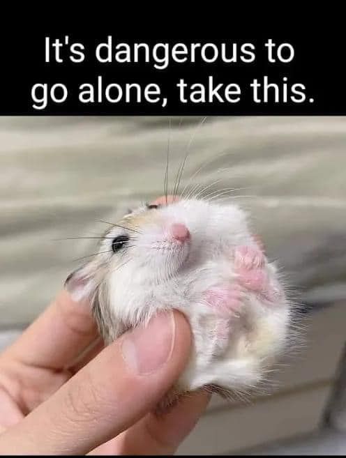 hamster.jpg