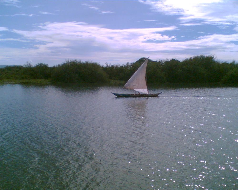 Image016.jpg