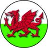 welsh-dragon-flag-4x4-spare-wheel-cover-decal-sticker-85948-p.jpg