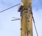 Last overground connection