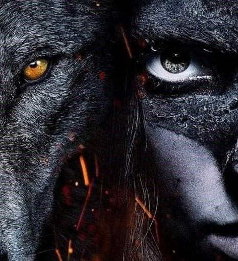 Wolves-236.jpg