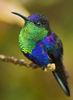 Image 06-02-2022 at 23.49.jpg