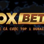 oxbetluadao