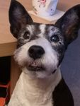 Profile (Bordy)