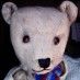 Teddy avatar.jpg