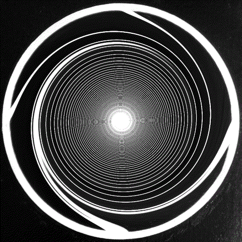 Global.Spin-24.11.21.gif