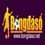 Profile (bongdaso)