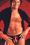 davidhasselhoffavatar.gif