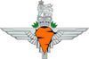 para-caret-logo175x175.png
