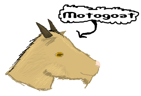ThisBEaCOOLgoat.png