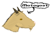 ThisBEaCOOLgoat.png