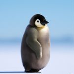 JustAPenguin
