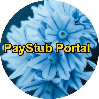 Paystub Portal.jpg