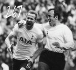 Profile (Spurs1)