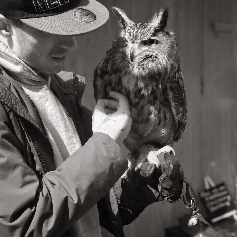 owlie.jpg
