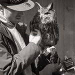 owlie.jpg
