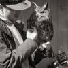 owlie.jpg