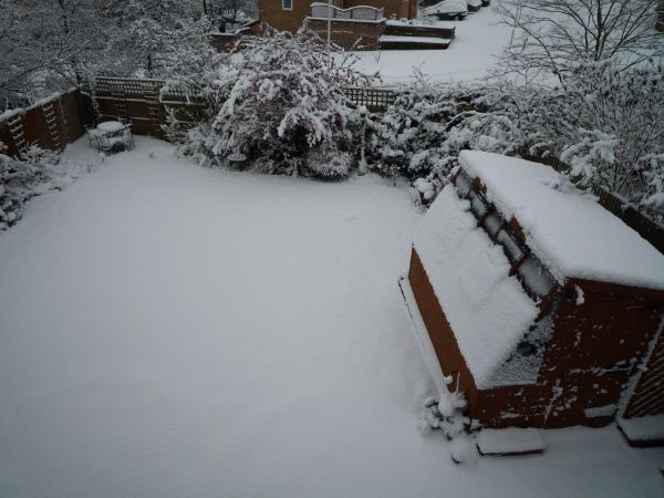 Snow 5 February 2012 (13).JPG