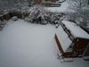 Snow 5 February 2012 (13).JPG