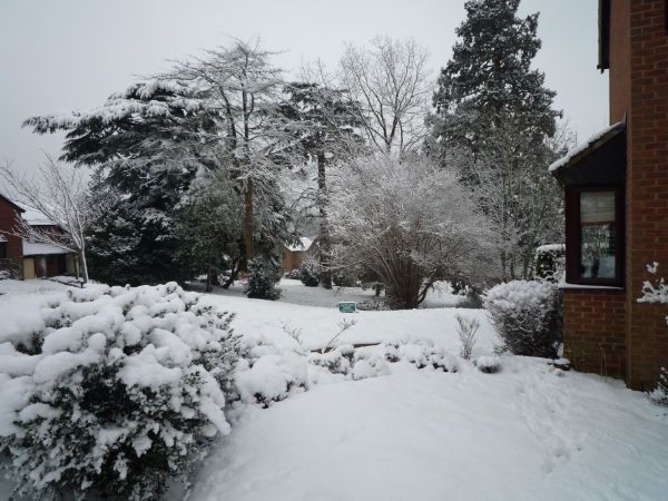 Snow 5 February 2012 (30).JPG