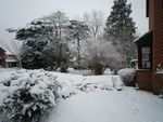 Snow 5 February 2012 (30).JPG