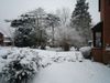Snow 5 February 2012 (30).JPG