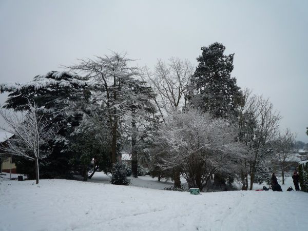 Snow 5 February 2012 (31).JPG