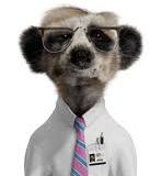 Sergei.jpg